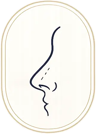 Ilustração de rinoplastia